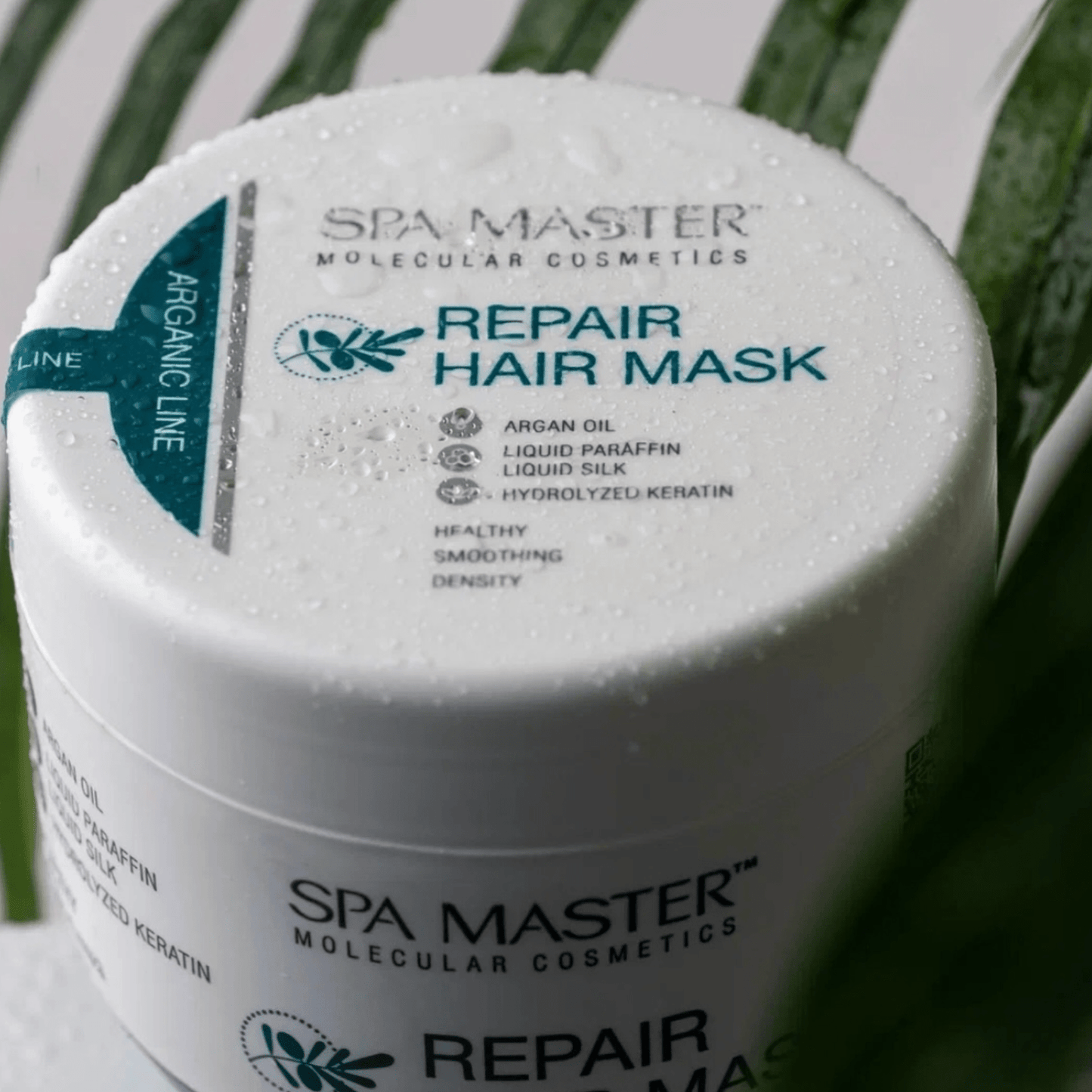 SPA MASTER Argan Haarmasker Droog tot Beschadigd Haar - 500ml | MISTER33.COM