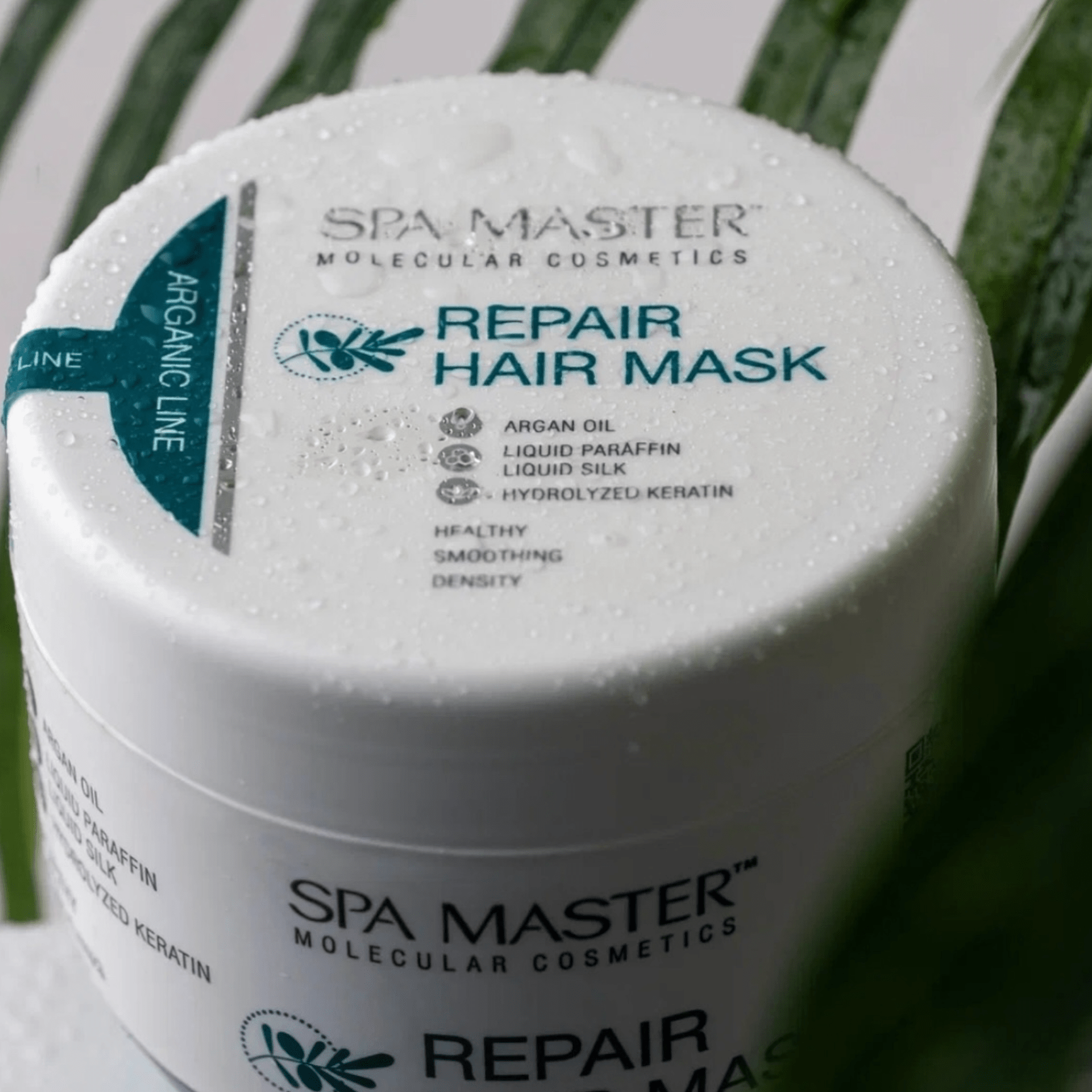 SPA MASTER Argan Haarmasker Droog tot Beschadigd Haar - 500ml | MISTER33.COM