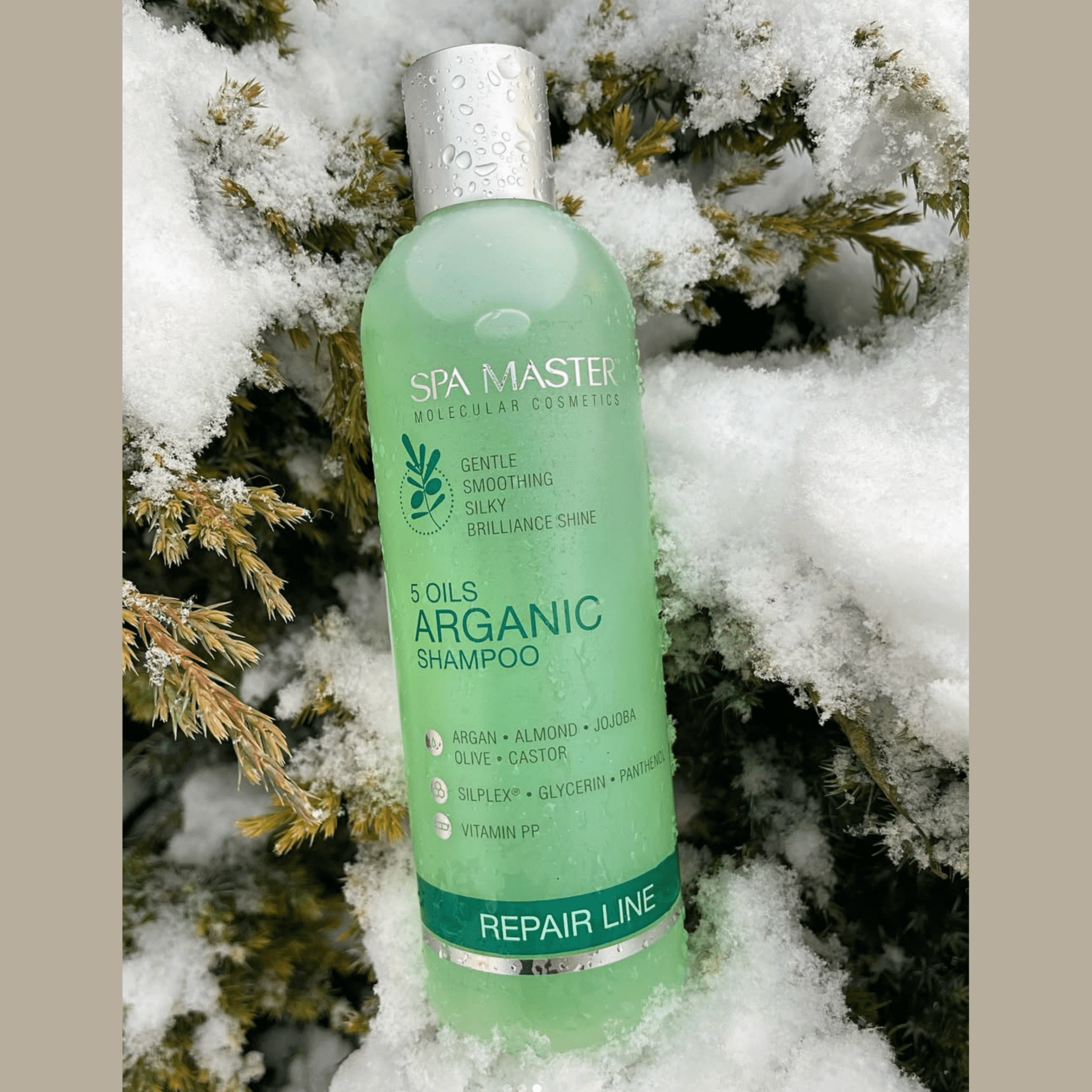 SPA MASTER Argan Shampoo Droog tot Beschadigd Haar - 330ml | MISTER33.COM