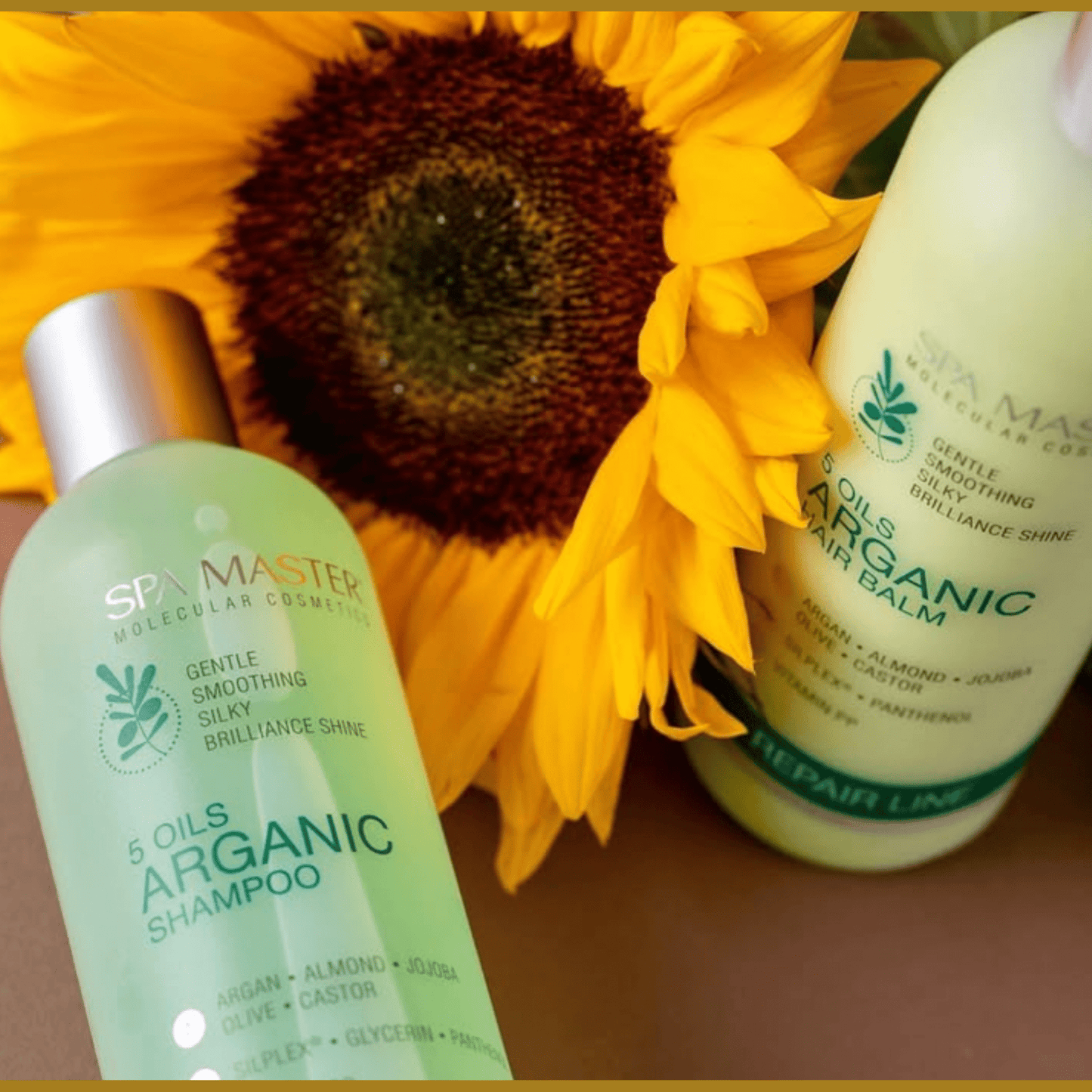 SPA MASTER Voordeelset Argan Shampoo, Haarbalsem, Haarmasker - 1160ml | MISTER33.COM