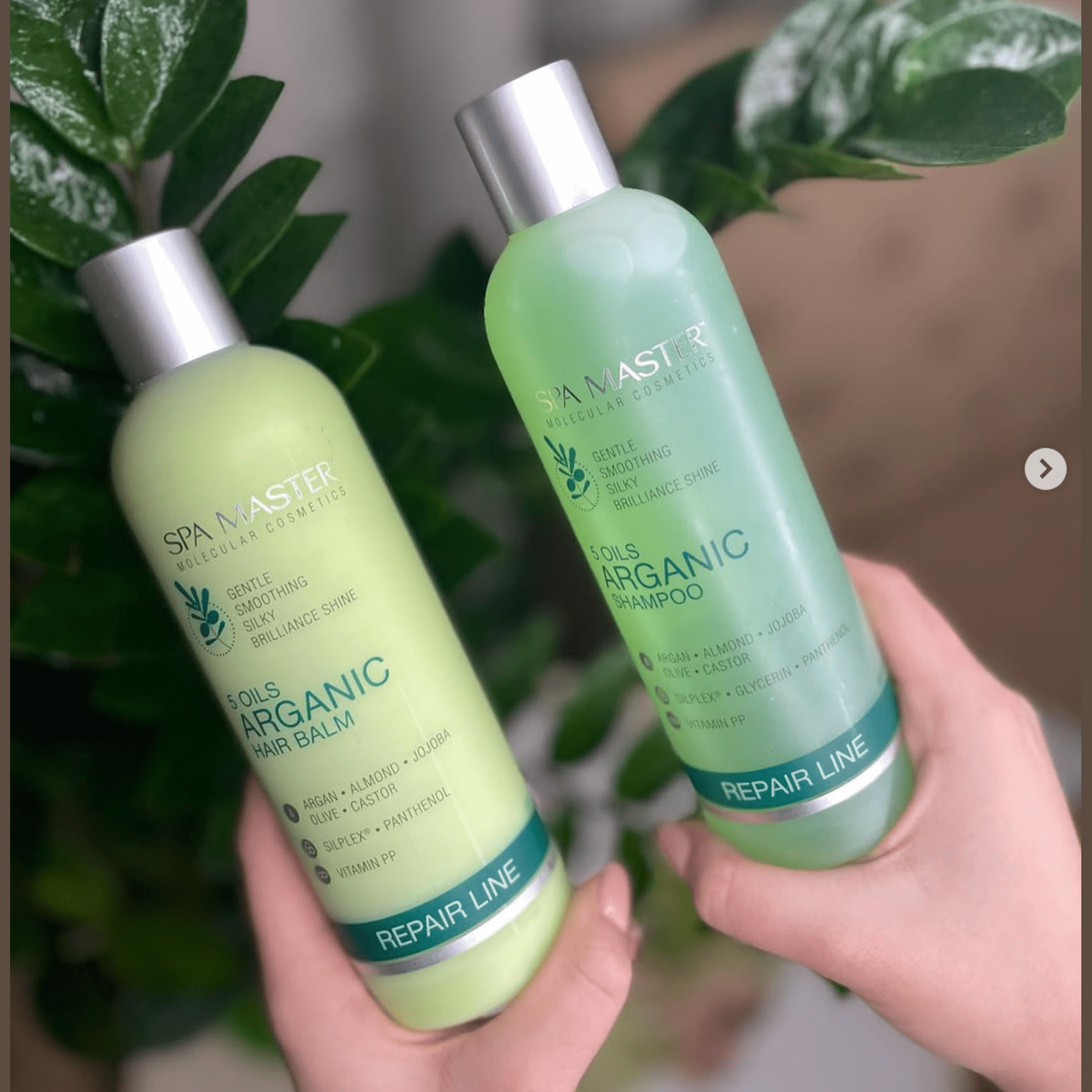 SPA MASTER Voordeelset Argan Shampoo, Haarbalsem, Haarmasker - 1160ml | MISTER33.COM